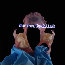 Standard Dental Lab Co., Limited linea di produzione del fabbricante