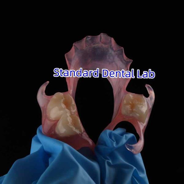 Standard Dental Lab Co., Limited linea di produzione del fabbricante