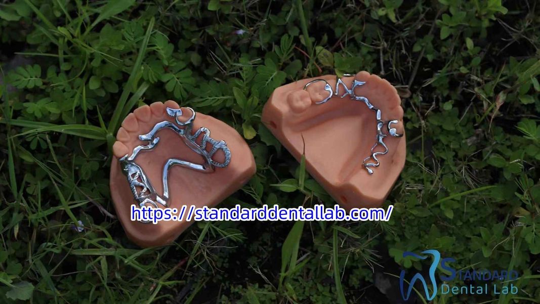 Standard Dental Lab Co., Limited linea di produzione del fabbricante