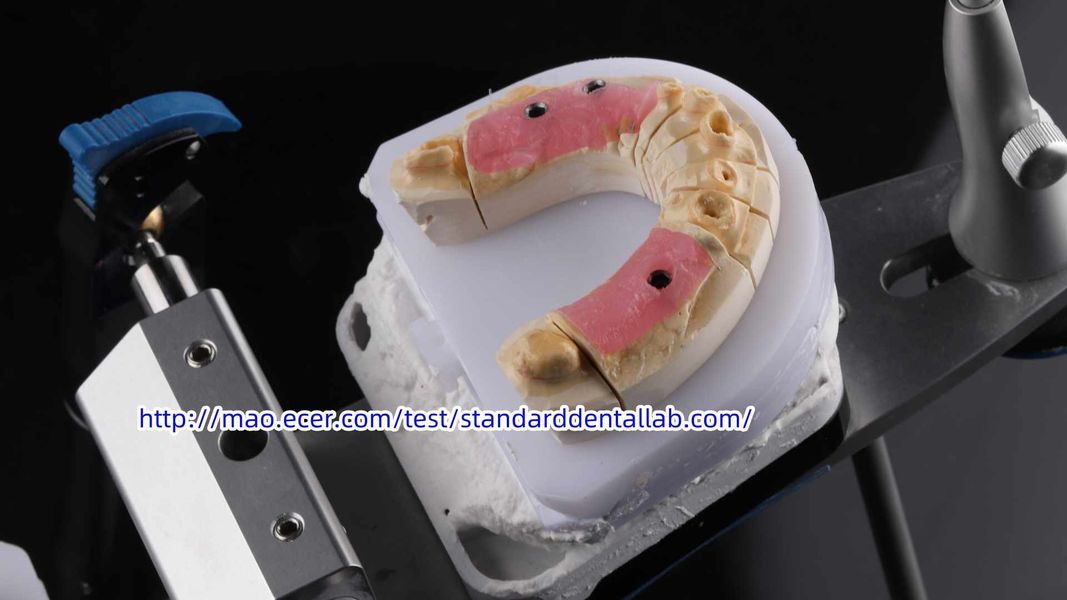 Standard Dental Lab Co., Limited linea di produzione del fabbricante