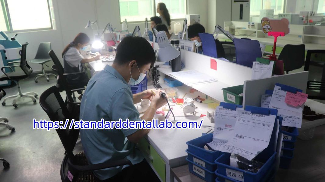 Standard Dental Lab Co., Limited linea di produzione del fabbricante