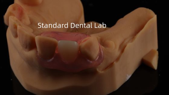 comprare Dental TCS Valplast Flessibili protesi parziali Nesbit Valplast Finish Cina Valplast di laboratorio dentale fabbricazione online