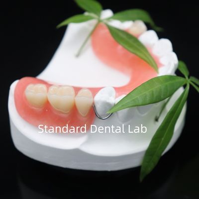 comprare Alta estetica Dentsply Lucitone 199 Protesi acrilica resina acrilica per protesi fabbricazione online
