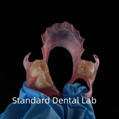 Alta estetica dentale TCS Valplast flessibile protesi parziali Dental Lab rosa