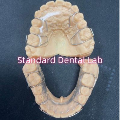 Ritenitore ortodontico professionale Ritenitore dentale acrilico Hawley Adam Clasps