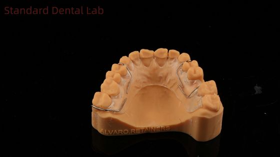 Perfetto Fit Germania Ortho Dent Halley Retainer per estetica e regolabilità Chiara ombra SDL Dental Lab