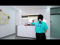 Porcellana tutto su quattro Ponte di zirconia Ponte di impianti dentali di alta estetica