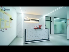 Ponte per impianti dentali digitali di malo Titanio Ivoclar Hybrid Zirconia