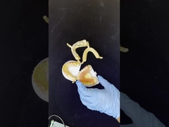 Dentsply Lucitone 199 Protesi acrilica per un aspetto naturale a arco intero