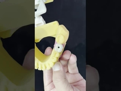 Porcellana All On Four Ponte di zirconia Alta estetica Ponte di impianti dentali