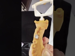 Corona di zirconia a contorno completo/Alta estetica naturale, ponte dentale di zirconia adidite personalizzato