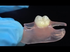 Dental TCS Valplast Flessibili protesi parziali Nesbit Valplast Finish Cina Valplast di laboratorio dentale